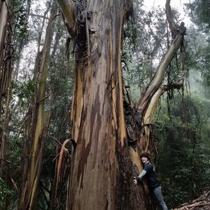 Meet your Posher, Christy